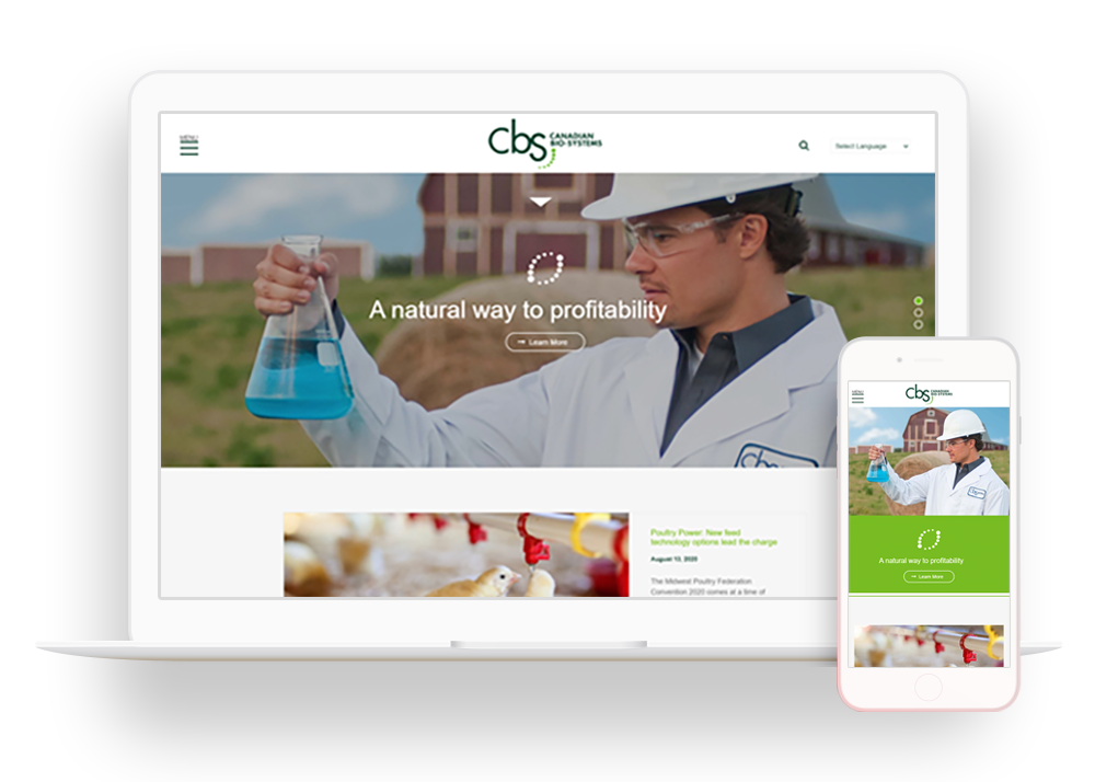 Responsive website example: CBS