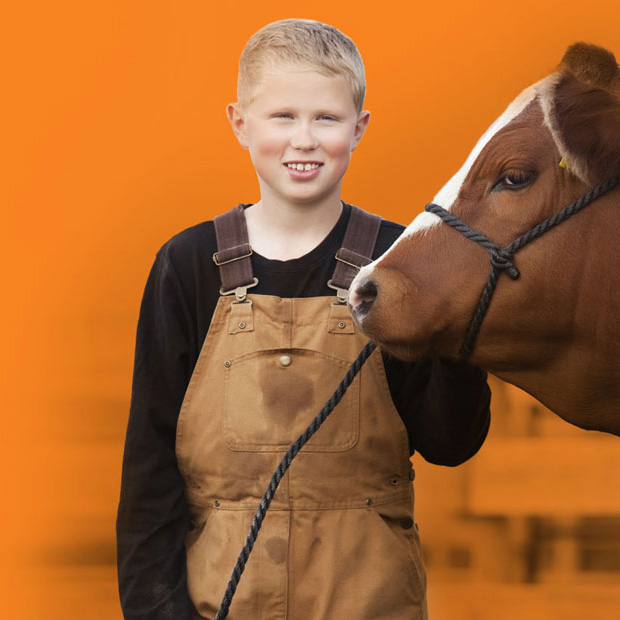 Country Junction Feeds